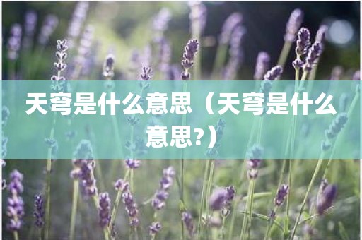 天穹是什么意思（天穹是什么意思?）