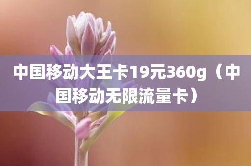 中国移动大王卡19元360g（中国移动无限流量卡）