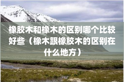 橡胶木和橡木的区别哪个比较好些（橡木跟橡胶木的区别在什么地方）
