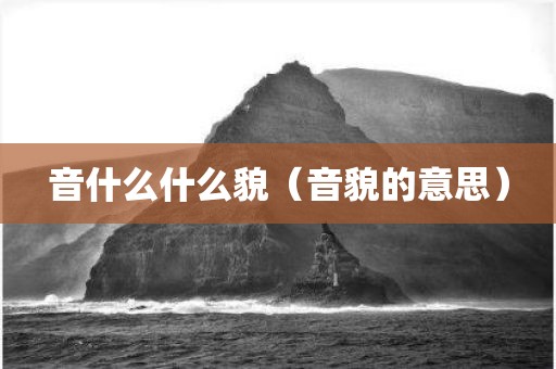 音什么什么貌（音貌的意思）