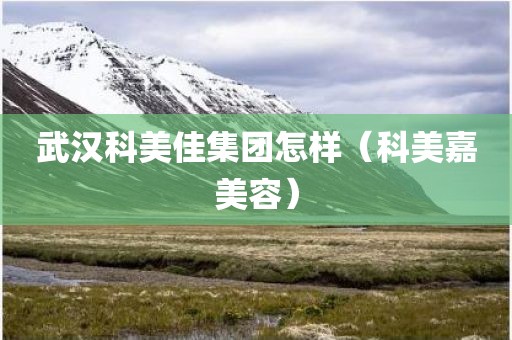 武汉科美佳集团怎样（科美嘉美容）