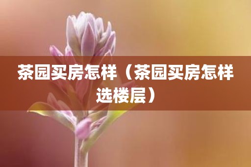 茶园买房怎样（茶园买房怎样选楼层）
