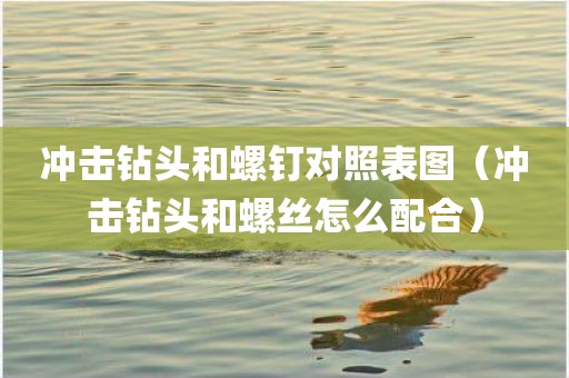 冲击钻头和螺钉对照表图（冲击钻头和螺丝怎么配合）