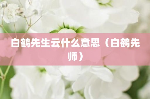 白鹤先生云什么意思（白鹤先师）