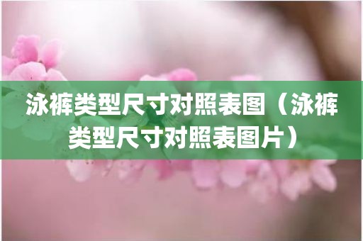 泳裤类型尺寸对照表图（泳裤类型尺寸对照表图片）