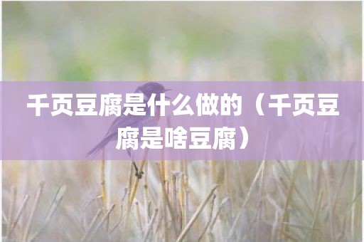 千页豆腐是什么做的（千页豆腐是啥豆腐）