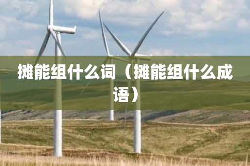 摊能组什么词（摊能组什么成语）
