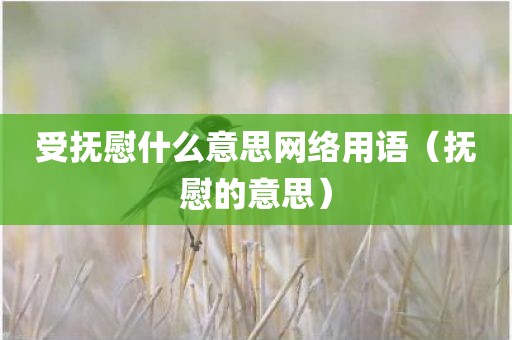 受抚慰什么意思网络用语（抚慰的意思）