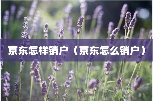 京东怎样销户（京东怎么销户）