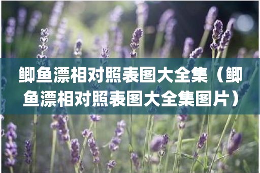 鲫鱼漂相对照表图大全集（鲫鱼漂相对照表图大全集图片）