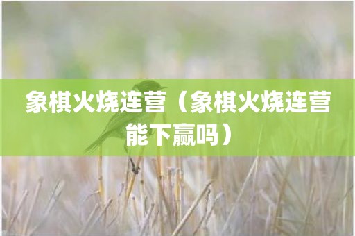 象棋火烧连营（象棋火烧连营能下赢吗）