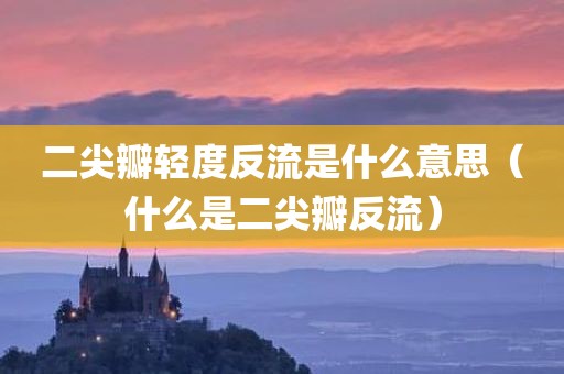 二尖瓣轻度反流是什么意思（什么是二尖瓣反流）