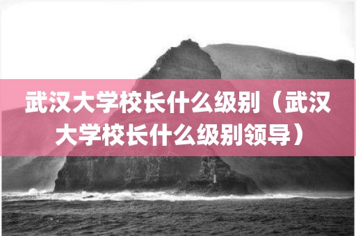 武汉大学校长什么级别（武汉大学校长什么级别领导）