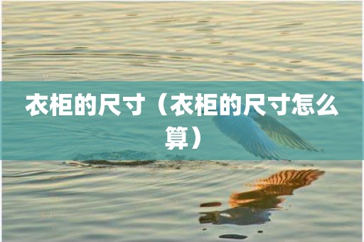 衣柜的尺寸(衣柜的尺寸怎么算) 衣柜的尺寸(衣柜的尺寸怎么算)