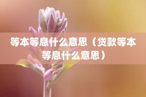 等本等息什么意思(贷款等本等息什么意思)