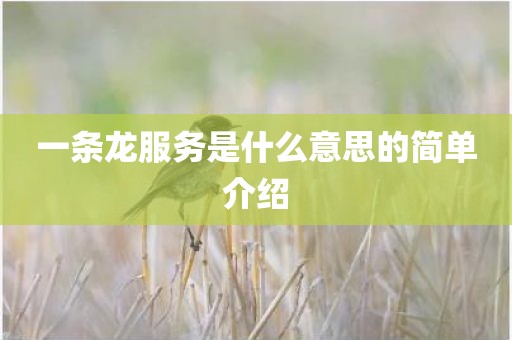 一条龙服务是什么意思的简单介绍