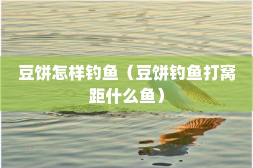 豆饼怎样钓鱼（豆饼钓鱼打窝距什么鱼）