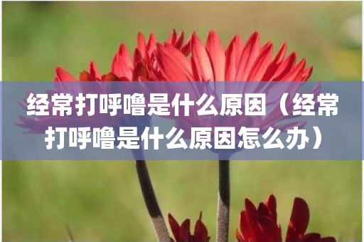 经常打呼噜是什么原因（经常打呼噜是什么原因怎么办）