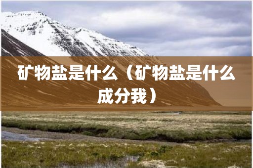 矿物盐是什么（矿物盐是什么成分我）