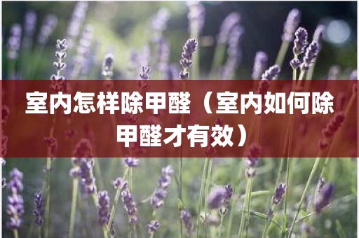 室内怎样除甲醛（室内如何除甲醛才有效）