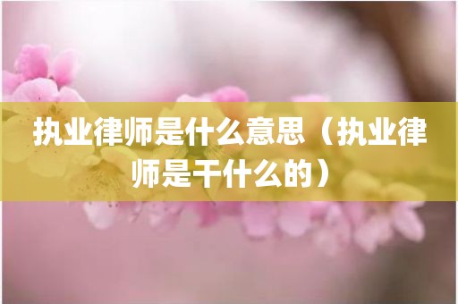 执业律师是什么意思（执业律师是干什么的）