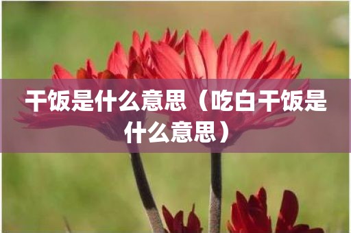 干饭是什么意思（吃白干饭是什么意思）