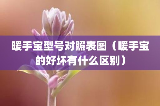 暖手宝型号对照表图（暖手宝的好坏有什么区别）