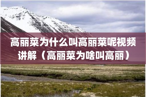 高丽菜为什么叫高丽菜呢视频讲解（高丽菜为啥叫高丽）