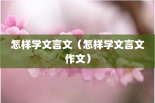 怎样学文言文（怎样学文言文作文）