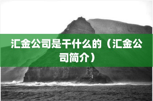 汇金公司是干什么的（汇金公司简介）