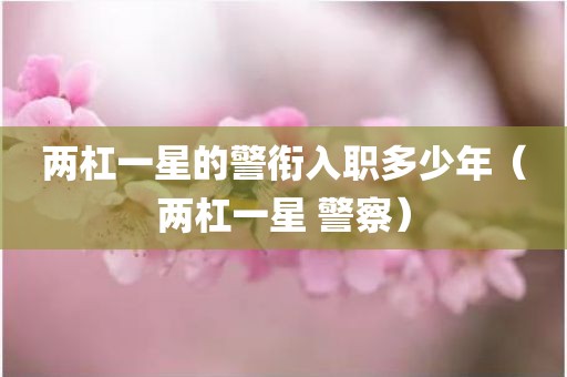 两杠一星的警衔入职多少年（两杠一星 警察）