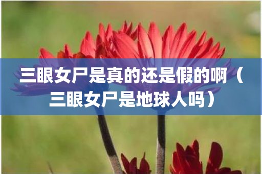 三眼女尸是真的还是假的啊（三眼女尸是地球人吗）