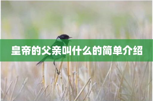 皇帝的父亲叫什么的简单介绍