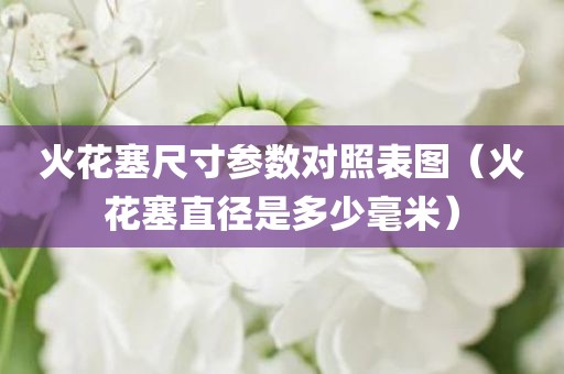 火花塞尺寸参数对照表图（火花塞直径是多少毫米）