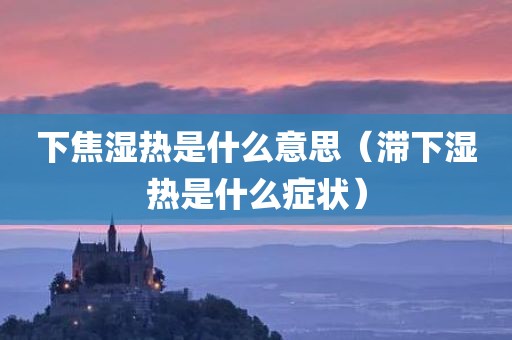 下焦湿热是什么意思（滞下湿热是什么症状）