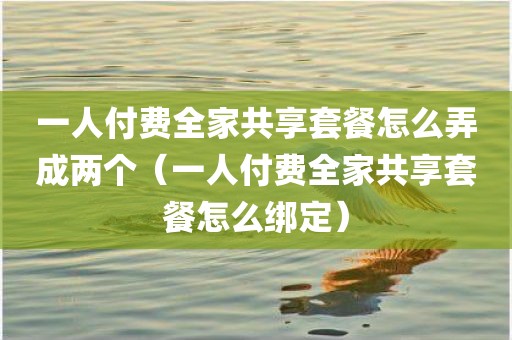 一人付费全家共享套餐怎么弄成两个(一人付费全家共享套餐怎么绑定)