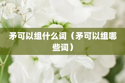 矛可以组什么词(矛可以组哪些词)