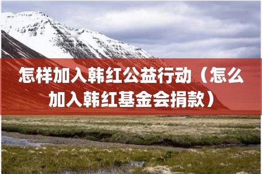 怎样加入韩红公益行动（怎么加入韩红基金会捐款）
