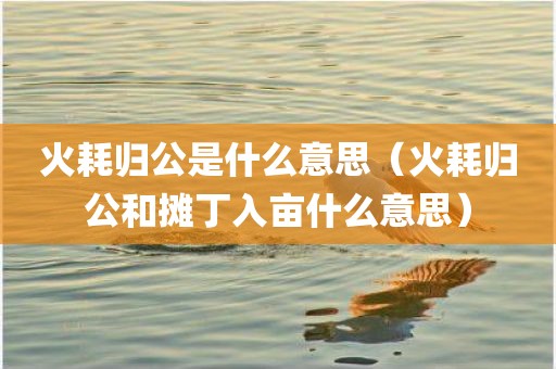 火耗归公是什么意思（火耗归公和摊丁入亩什么意思）
