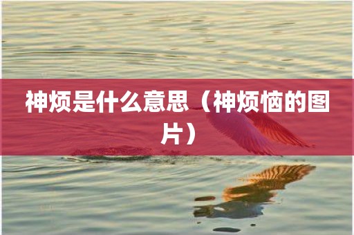 神烦是什么意思（神烦恼的图片）