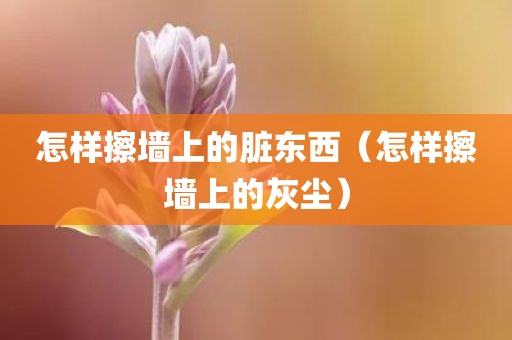 怎样擦墙上的脏东西(怎样擦墙上的灰尘) 怎样擦墙上的脏东西(怎样擦墙上的灰尘)
