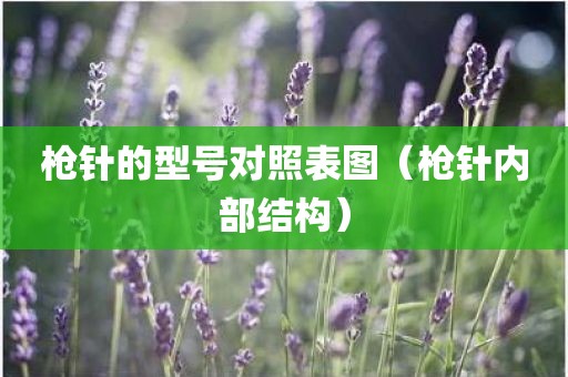 枪针的型号对照表图（枪针内部结构）