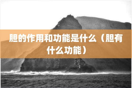 胆的作用和功能是什么（胆有什么功能）