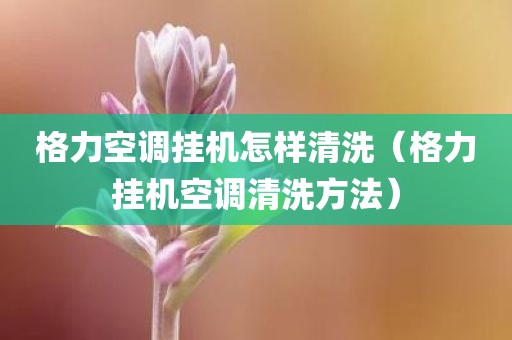 格力空调挂机怎样清洗（格力挂机空调清洗方法）
