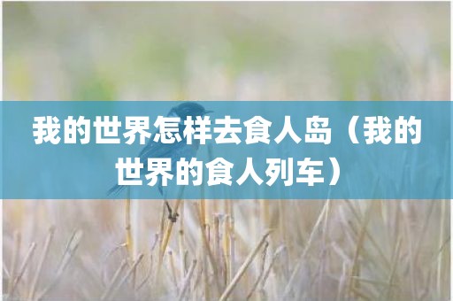 我的世界怎样去食人岛（我的世界的食人列车）