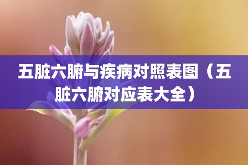 五脏六腑与疾病对照表图（五脏六腑对应表大全）