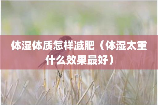 体湿体质怎样减肥(体湿太重什么效果最好) 体湿体质怎样减肥(体湿太重什么效果最好)