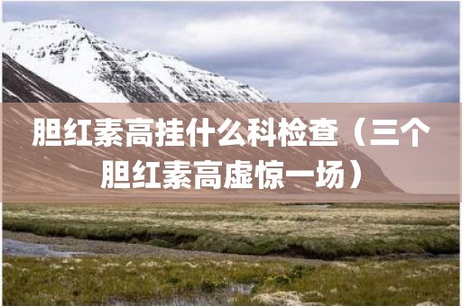 胆红素高挂什么科检查（三个胆红素高虚惊一场）