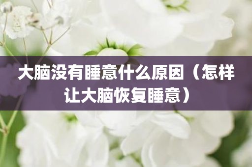 大脑没有睡意什么原因（怎样让大脑恢复睡意）