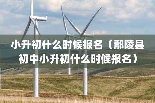 小升初什么时候报名（鄢陵县初中小升初什么时候报名）